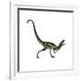 Dilong Dinosaur Roaring-Stocktrek Images-Framed Art Print