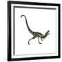 Dilong Dinosaur Roaring-Stocktrek Images-Framed Art Print