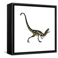 Dilong Dinosaur Roaring-Stocktrek Images-Framed Stretched Canvas