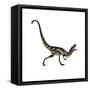 Dilong Dinosaur Roaring-Stocktrek Images-Framed Stretched Canvas