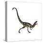 Dilong Dinosaur Roaring-Stocktrek Images-Stretched Canvas