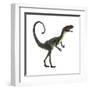 Dilong Dinosaur-Stocktrek Images-Framed Art Print