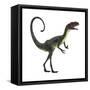 Dilong Dinosaur-Stocktrek Images-Framed Stretched Canvas