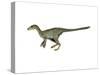 Dilong Paradoxus Dinosaur-null-Stretched Canvas