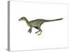 Dilong Paradoxus Dinosaur-null-Stretched Canvas