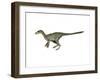 Dilong Paradoxus Dinosaur-null-Framed Art Print