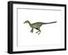 Dilong Paradoxus Dinosaur-null-Framed Art Print