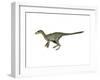 Dilong Paradoxus Dinosaur-null-Framed Art Print