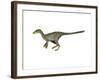 Dilong Paradoxus Dinosaur-null-Framed Art Print