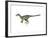 Dilong Paradoxus Dinosaur-null-Framed Art Print