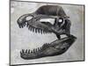 Dilophosaurus Dinosaur Skull-Stocktrek Images-Mounted Art Print