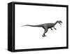 Dilophosaurus Dinosaur-null-Framed Stretched Canvas