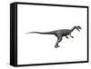 Dilophosaurus Dinosaur-null-Framed Stretched Canvas