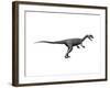 Dilophosaurus Dinosaur-null-Framed Art Print
