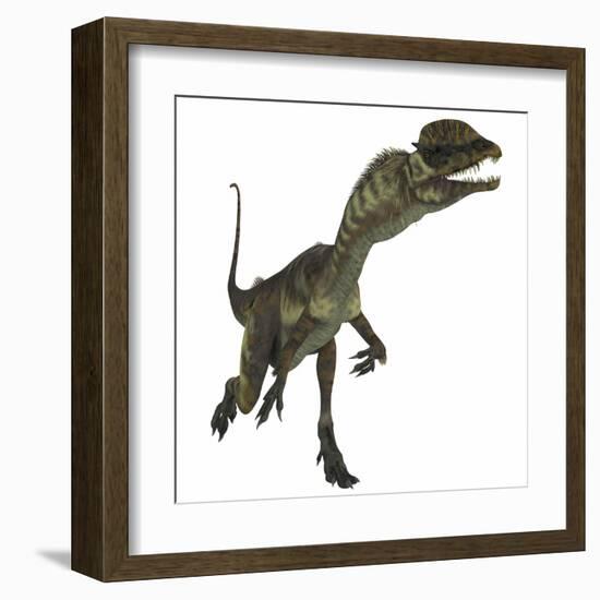 Dilophosaurus Dinosaur-Stocktrek Images-Framed Art Print