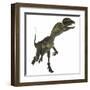Dilophosaurus Dinosaur-Stocktrek Images-Framed Art Print