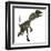 Dilophosaurus Dinosaur-Stocktrek Images-Framed Art Print