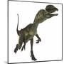 Dilophosaurus Dinosaur-Stocktrek Images-Mounted Art Print