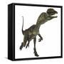 Dilophosaurus Dinosaur-Stocktrek Images-Framed Stretched Canvas