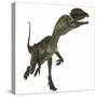 Dilophosaurus Dinosaur-Stocktrek Images-Stretched Canvas