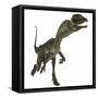 Dilophosaurus Dinosaur-Stocktrek Images-Framed Stretched Canvas
