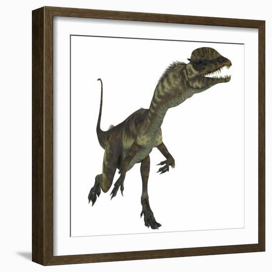 Dilophosaurus Dinosaur-Stocktrek Images-Framed Art Print