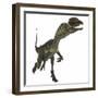 Dilophosaurus Dinosaur-Stocktrek Images-Framed Art Print