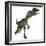 Dilophosaurus Dinosaur-Stocktrek Images-Framed Art Print