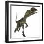 Dilophosaurus Dinosaur-Stocktrek Images-Framed Art Print