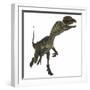 Dilophosaurus Dinosaur-Stocktrek Images-Framed Art Print