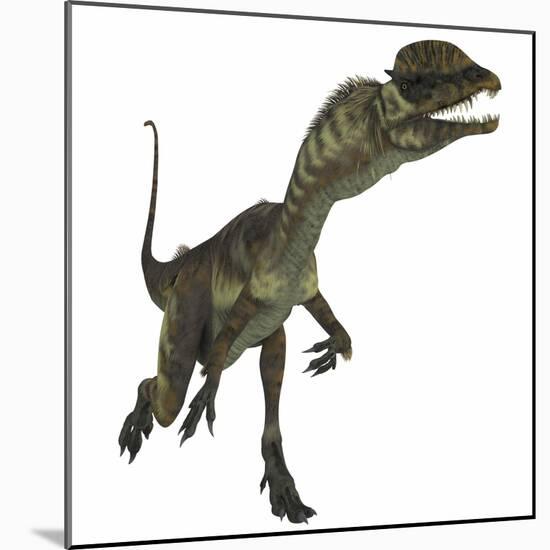 Dilophosaurus Dinosaur-Stocktrek Images-Mounted Art Print