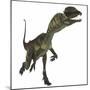 Dilophosaurus Dinosaur-Stocktrek Images-Mounted Art Print