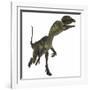 Dilophosaurus Dinosaur-Stocktrek Images-Framed Art Print