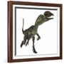 Dilophosaurus Dinosaur-Stocktrek Images-Framed Art Print