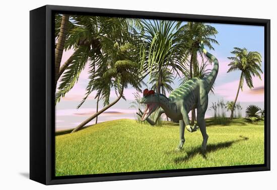 Dilophosaurus Hunting in a Field for its Next Meal-null-Framed Stretched Canvas