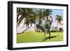 Dilophosaurus Hunting in a Field for its Next Meal-null-Framed Art Print