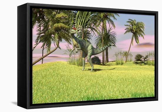 Dilophosaurus Hunting in a Field for its Next Meal-null-Framed Stretched Canvas