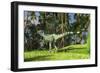 Dilophosaurus Hunting in a Prehistoric Environment-null-Framed Art Print