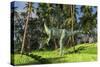 Dilophosaurus Hunting in a Prehistoric Environment-null-Stretched Canvas