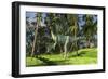 Dilophosaurus Hunting in a Prehistoric Environment-null-Framed Art Print