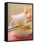 Dim Sum on Chopsticks over Dip (Asia)-null-Framed Stretched Canvas