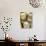 Dim Sum Preparation in a Restaurant Kitchen in Hong Kong, China, Asia-Gavin Hellier-Photographic Print displayed on a wall