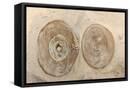 Framed Canvas