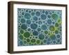 Dimension 15-Hilary Winfield-Framed Giclee Print