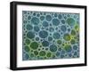 Dimension 15-Hilary Winfield-Framed Giclee Print