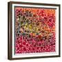 Dimension 19-Hilary Winfield-Framed Giclee Print