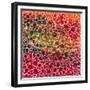 Dimension 19-Hilary Winfield-Framed Giclee Print