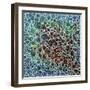 Dimension 23-Hilary Winfield-Framed Giclee Print