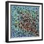 Dimension 23-Hilary Winfield-Framed Giclee Print