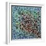 Dimension 23-Hilary Winfield-Framed Giclee Print